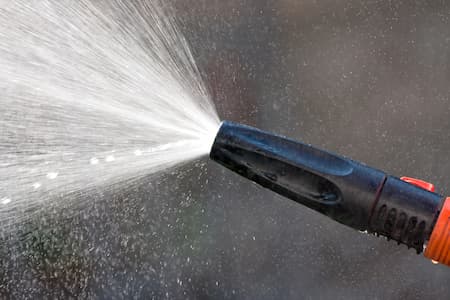 Mitigating Mold and Mildew