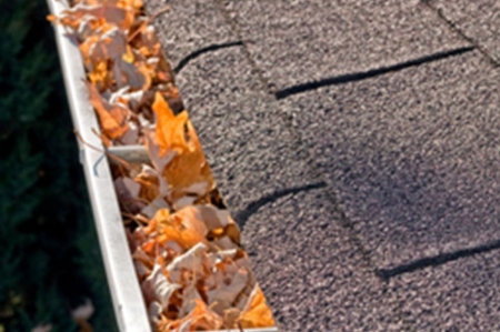 Gutter Cleaning