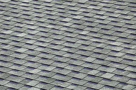 Roof Cleaning